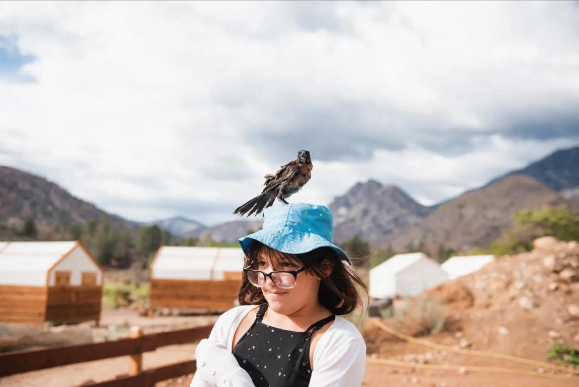 Socal Camping Kernville Kültér fotó