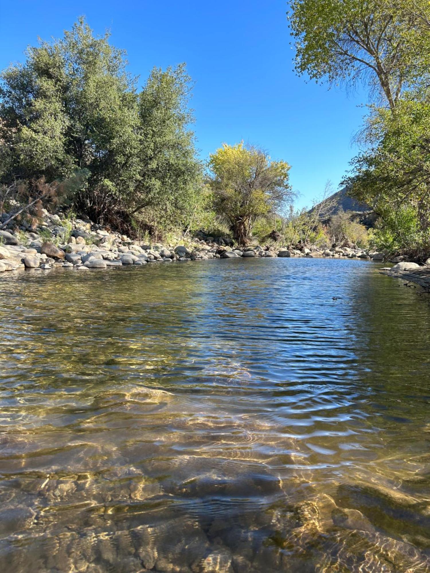 Socal Camping Kernville Kültér fotó